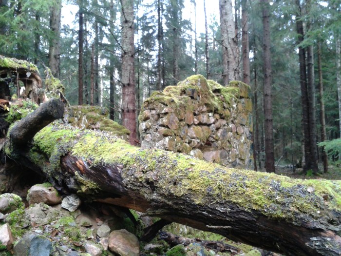 Fallet träd i ruinerna