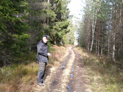 Hasse i Långblåskogen