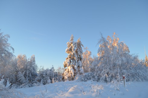 Snön ligger djup längs skoterleden