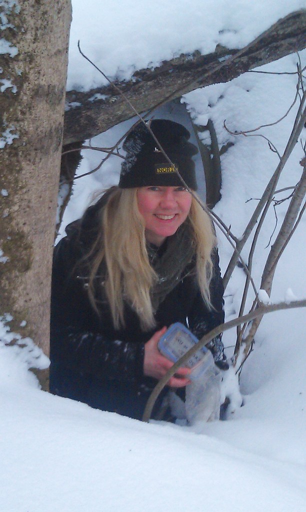 Snö-loggning pågår