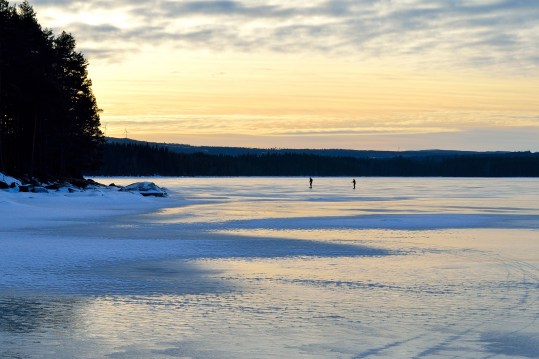 Långfärdsskridsko-åkare