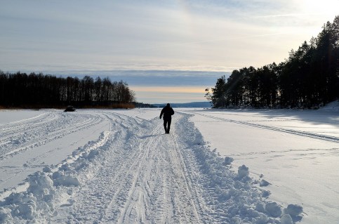 Hasse följer spåret