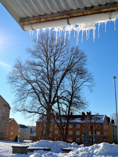 Takdropp och vårt hus
