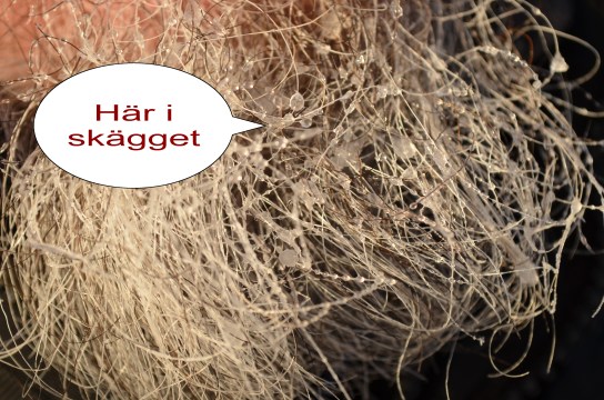 Lite närmare skägget