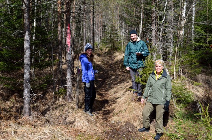 En härlig dag för en tur