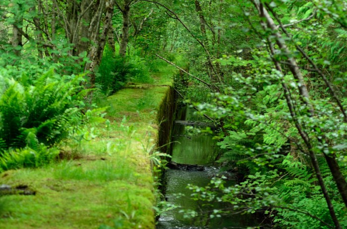 En fin tur på en mur