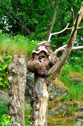 Trollet i Bjergstedparken