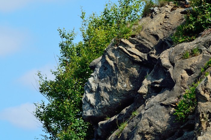 En gammal Indianhövding