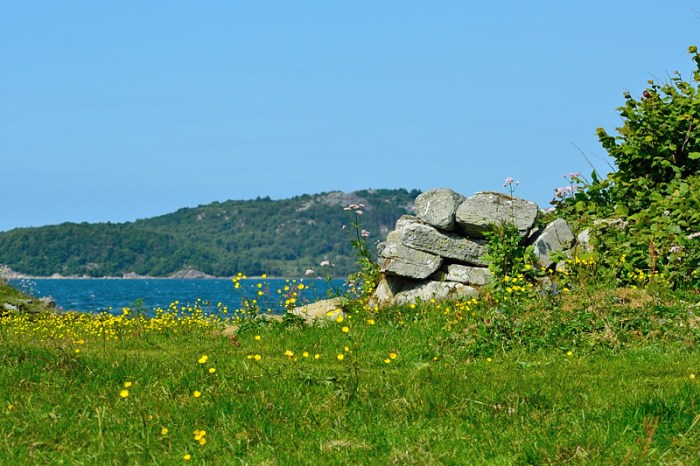 Rester av Fornborgens mur