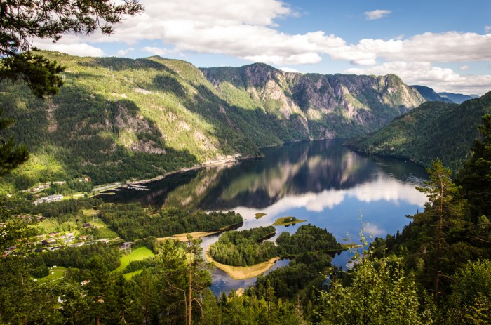 Skönhet på vägen hem