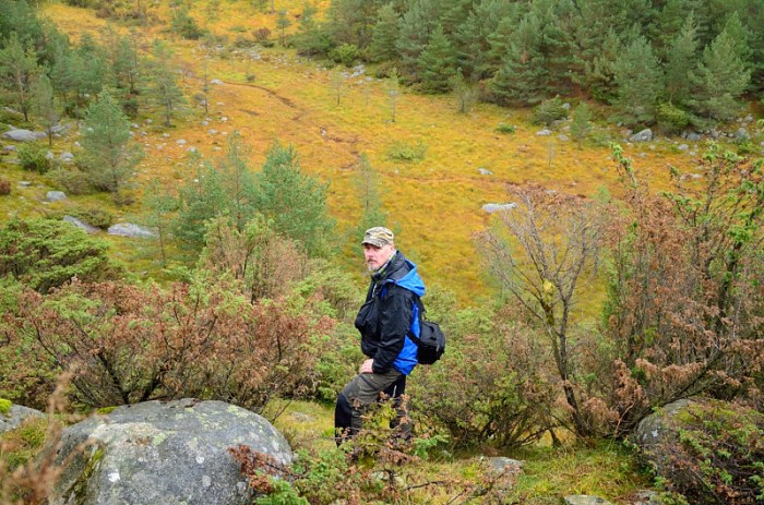 Myrhammar vid myrmark