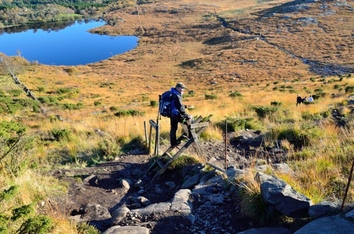 Hasse vid övergång
