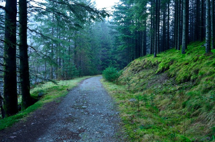 Vägen till Uburhedlaren