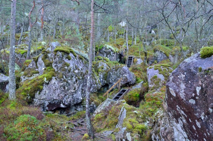 Trappor längs stigen