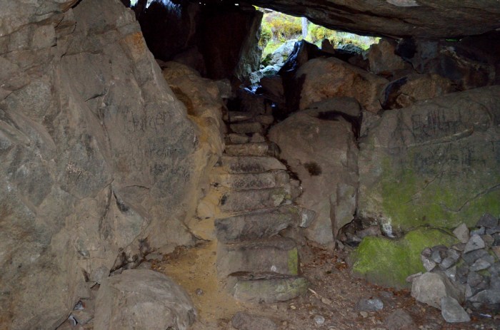 Trappa till baksidan