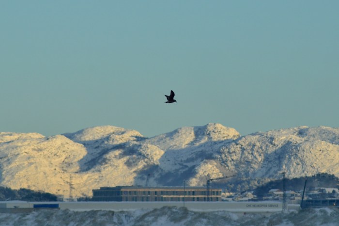 Våra berg i vinterskrud