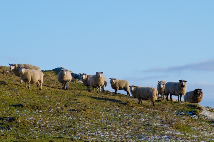 Vi känner oss iakttagna