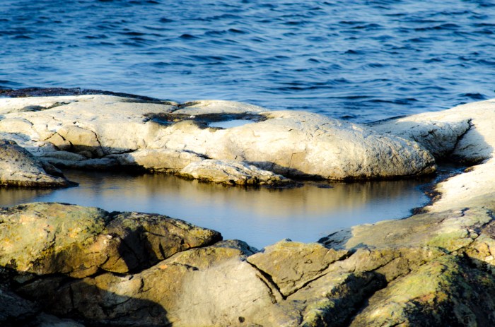 Is i sötvatten-pölen