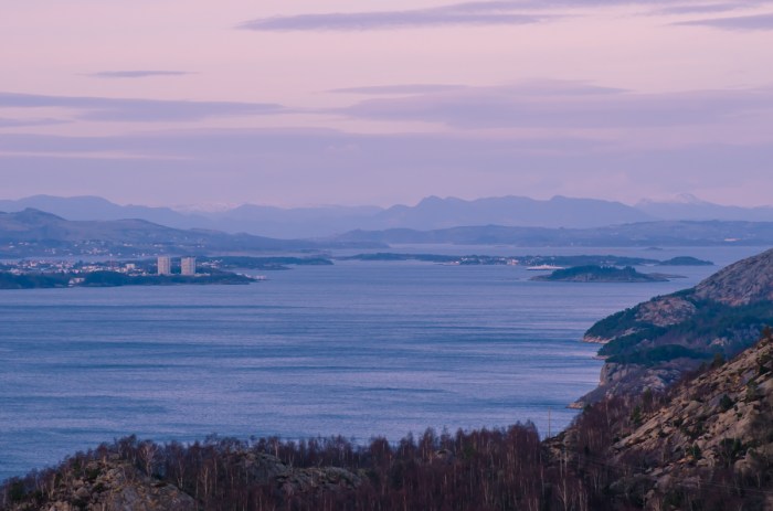 Utsikt över fjorden