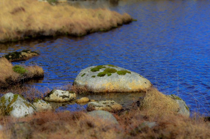 Mossig sten i sjön