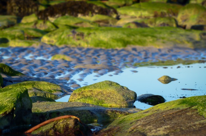 Stillhet på stranden