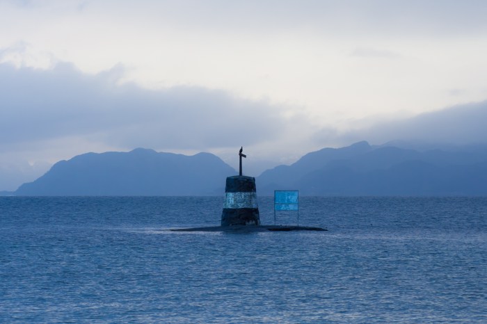 Sjömärke med skarv