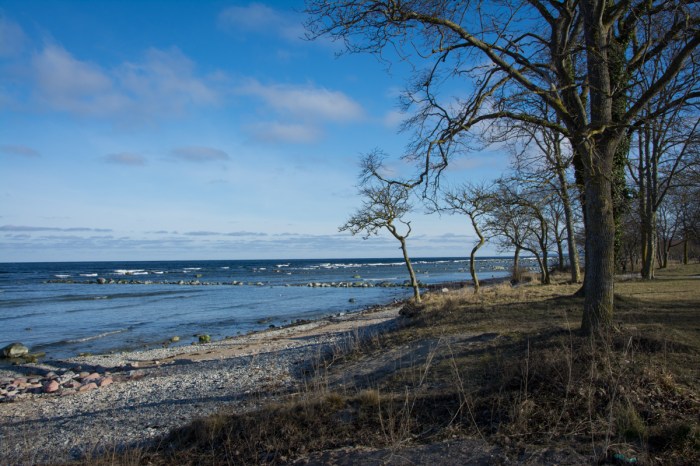 Strand norr om Visby