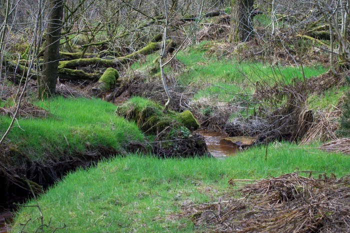 Grönt, grönt gräs