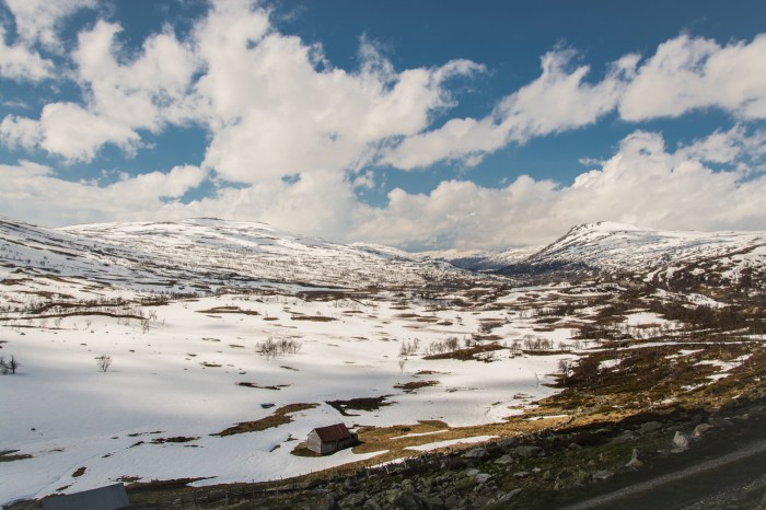 Hardangervidda