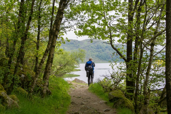 Hasse i Sælandskogen