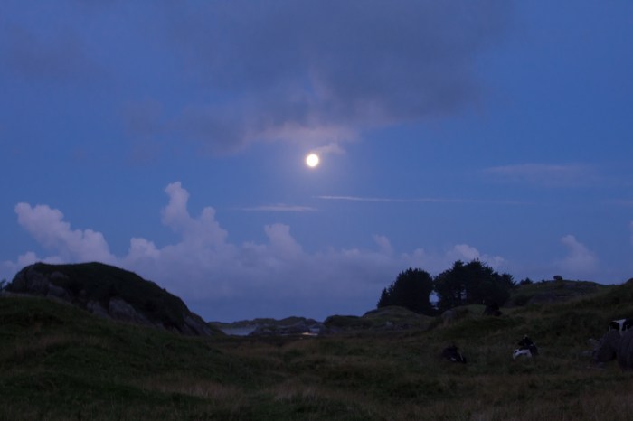 Månljus natt i Ogna