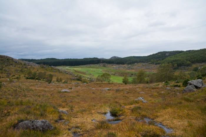 På väg ner i dalen