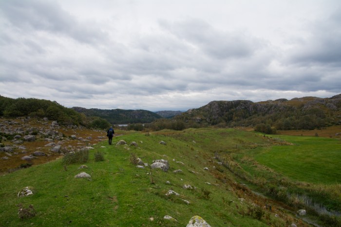 Hasse går på ormen