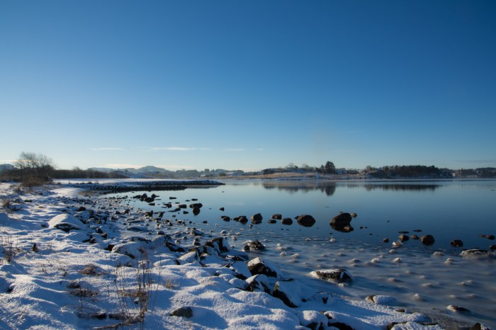 Vinter vid Hafrsfjord