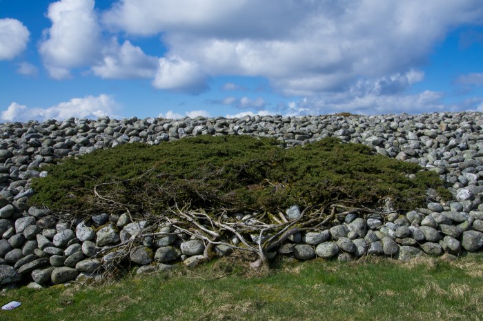 En en på gravhögen