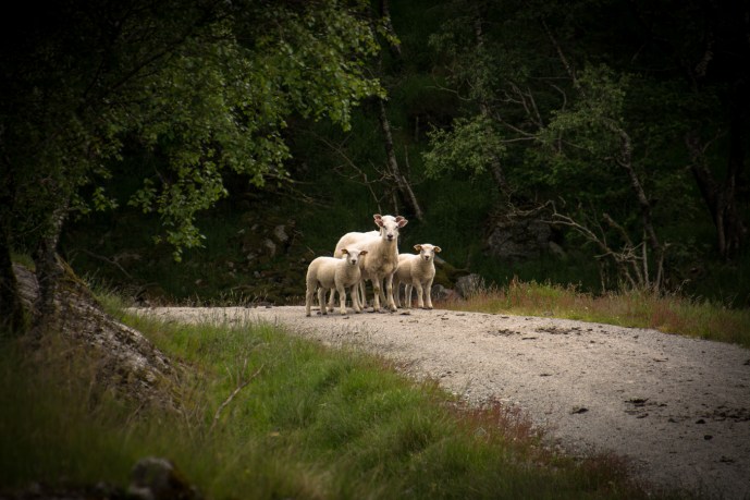 Stannar och kollar in oss