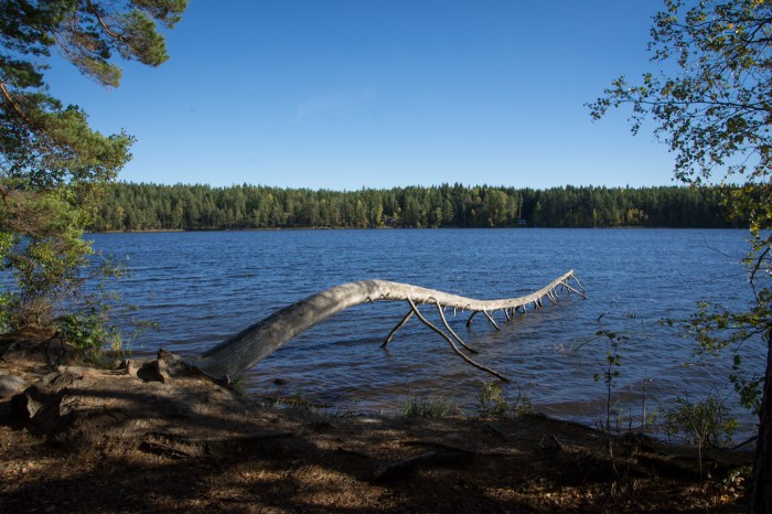 Långsjön