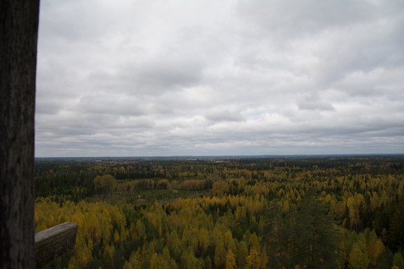Utsikt från tornet
