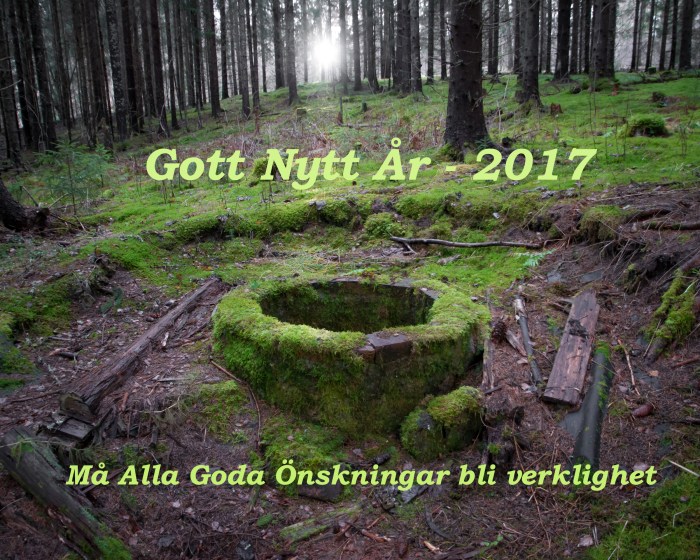 Gott Nytt 2017
