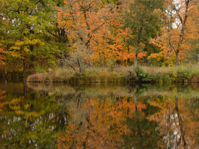 Höstfärger vid Strömsholms kanal