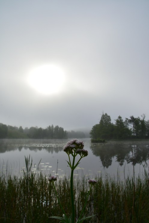 Magisk morgon i Fagersta